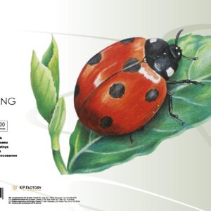 Joonistusplokk College A3/30L 120g