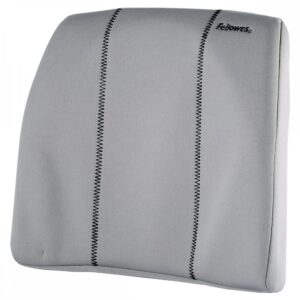 Seljatugi Fellowes Slim Line Smart Suites hall