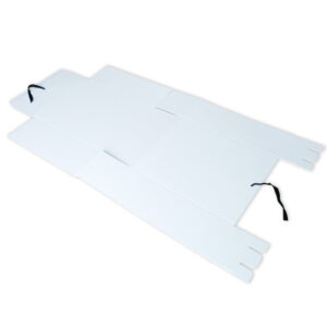 Arhiivikarp AKSP 350x280x120 paelaga, pinnalaotusena, arhiivipüsiv