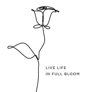 Spiraalplokk College BW A6/80l, 5x5 ruut, PP kaan, erinevad pildid