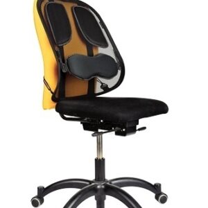 Seljatugi Fellowes Professional must